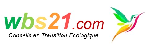 wbs21.com